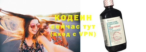 дживик Елизово