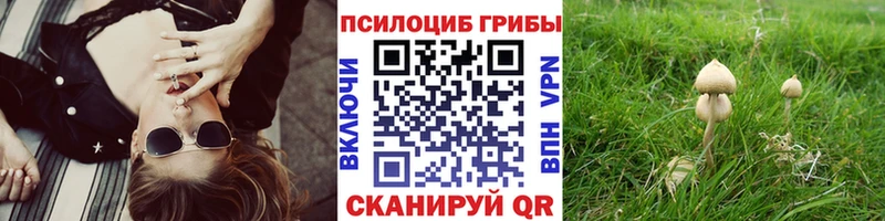 Купить  Майкоп  Псилоцибиновые грибы GOLDEN TEACHER 